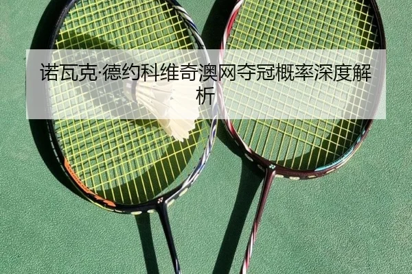 诺瓦克·德约科维奇澳网夺冠概率深度解析 | Xingcai